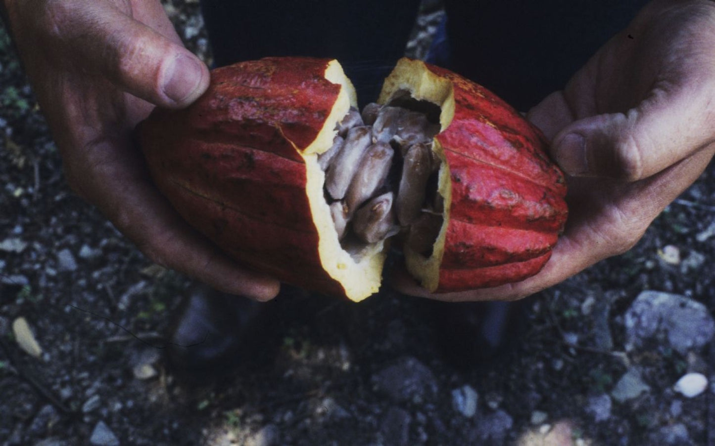 CIOMOD SCHOKOLADE DI MODICA IGP HUILA - ARAUCA - 100g