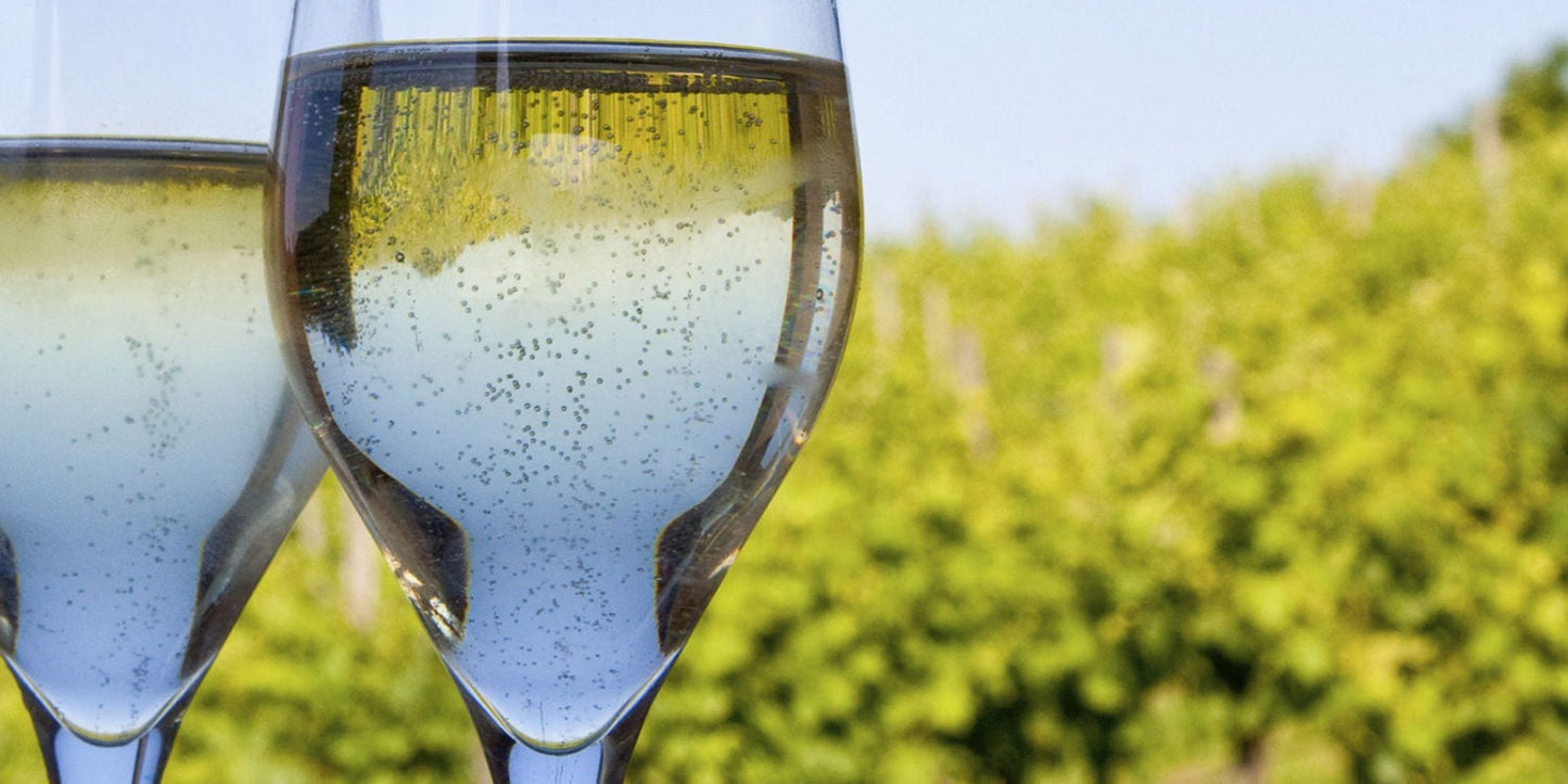 CONCA D'ORO Prosecco D.O.C Treviso: Millesimato Cuvée Oro und Rosé