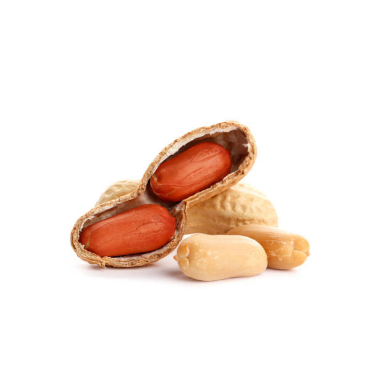 FIORENTINI Peanut Butter Crunchy - 350g