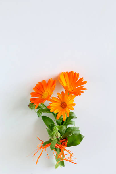 RASELLI Essbare Blüten - 4g