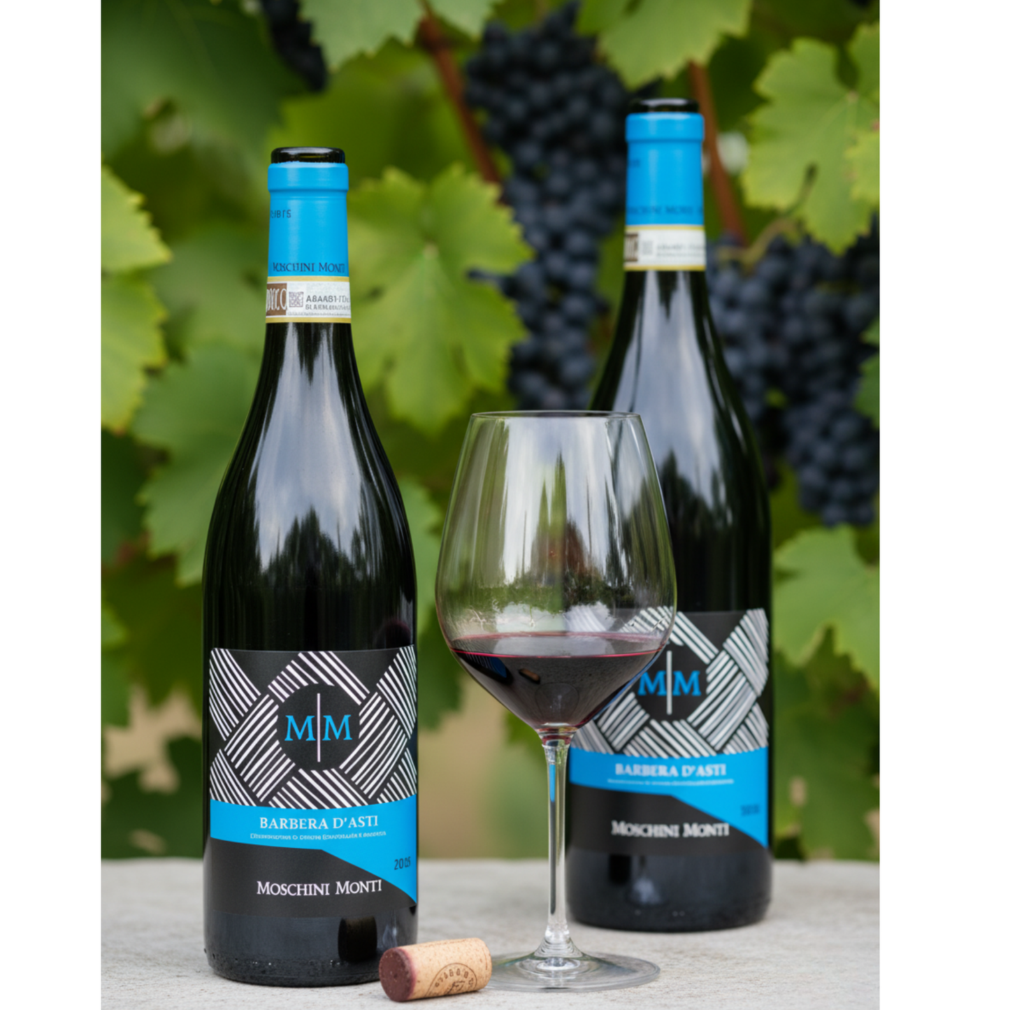 Barbera d'Asti DOCG Moschino Monti "Superiore" | 750ml & Magnum