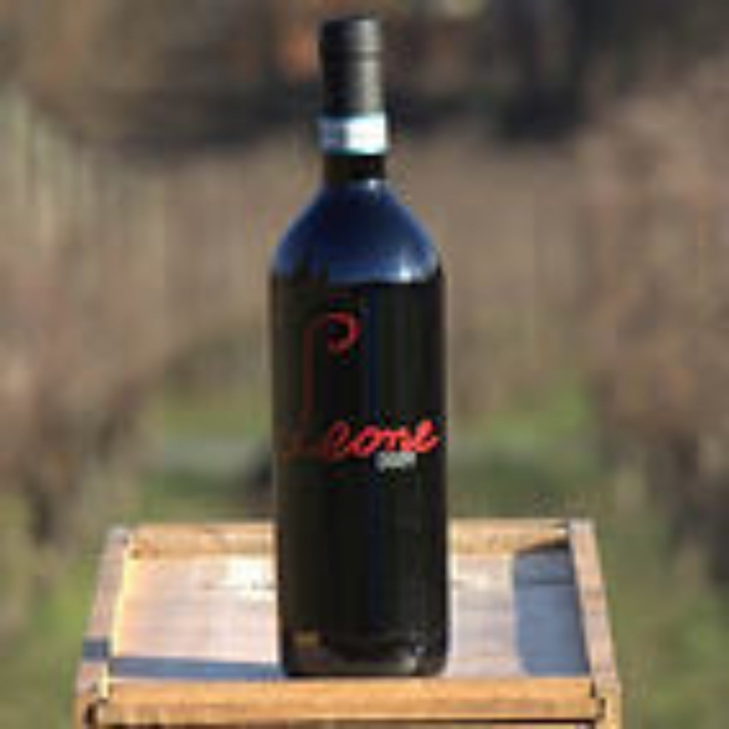 LA GUARDIA Leone Monferrato Rosso DOCG- 75cl.
