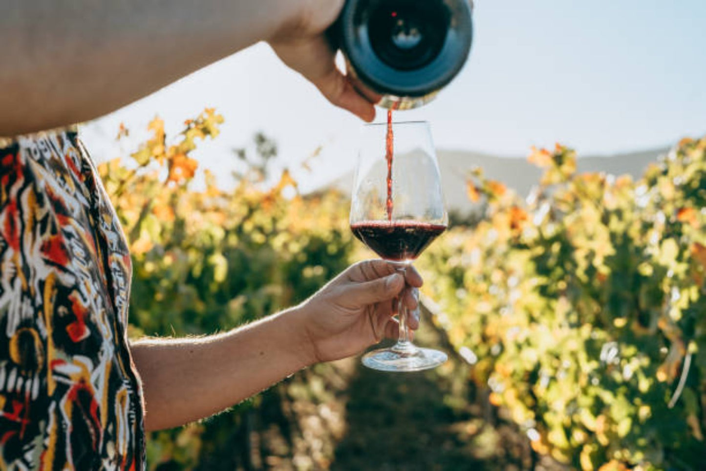 La_Guardia_Vinno_Rosso_Piemont_Monferrato