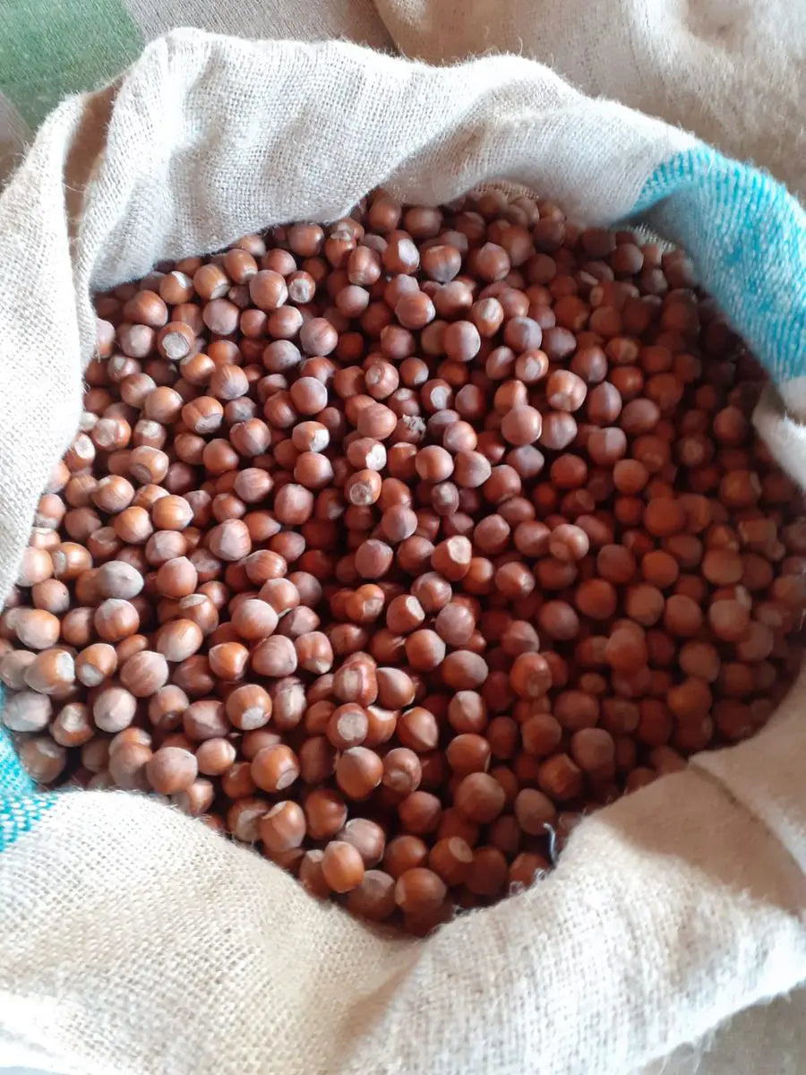 C.FASO' Geröstete Piemont-Haselnüsse IGP frisch - 250g-Frischebehälter.