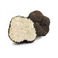 BOSCO D'ORO Carpaccio di Tartufo – Scheibchen von Sommertrüffeln im extra natives Olivenöl -90g