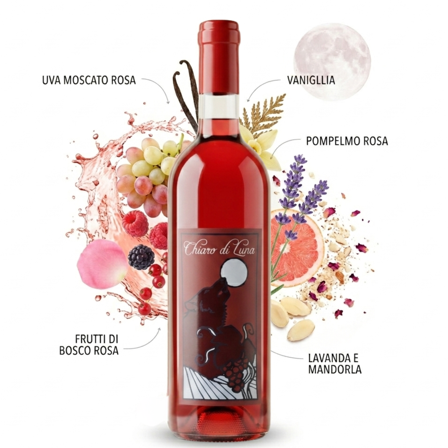Chiaro di Luna – Moschini Monti Giuseppe | 750ml