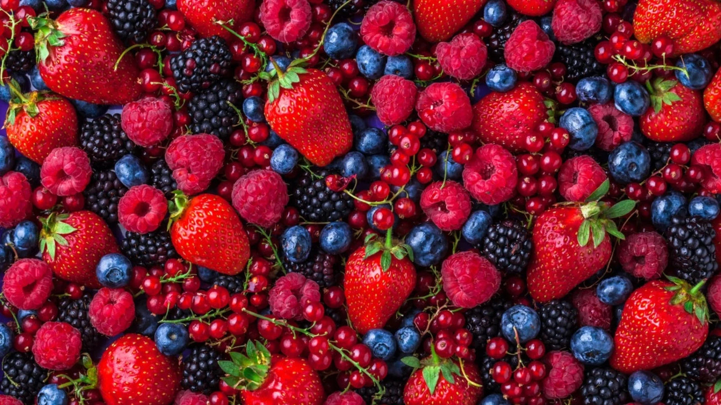 Colomba-Frutti-di-bosco-2026-Fiasconaro-Waldbeeren
