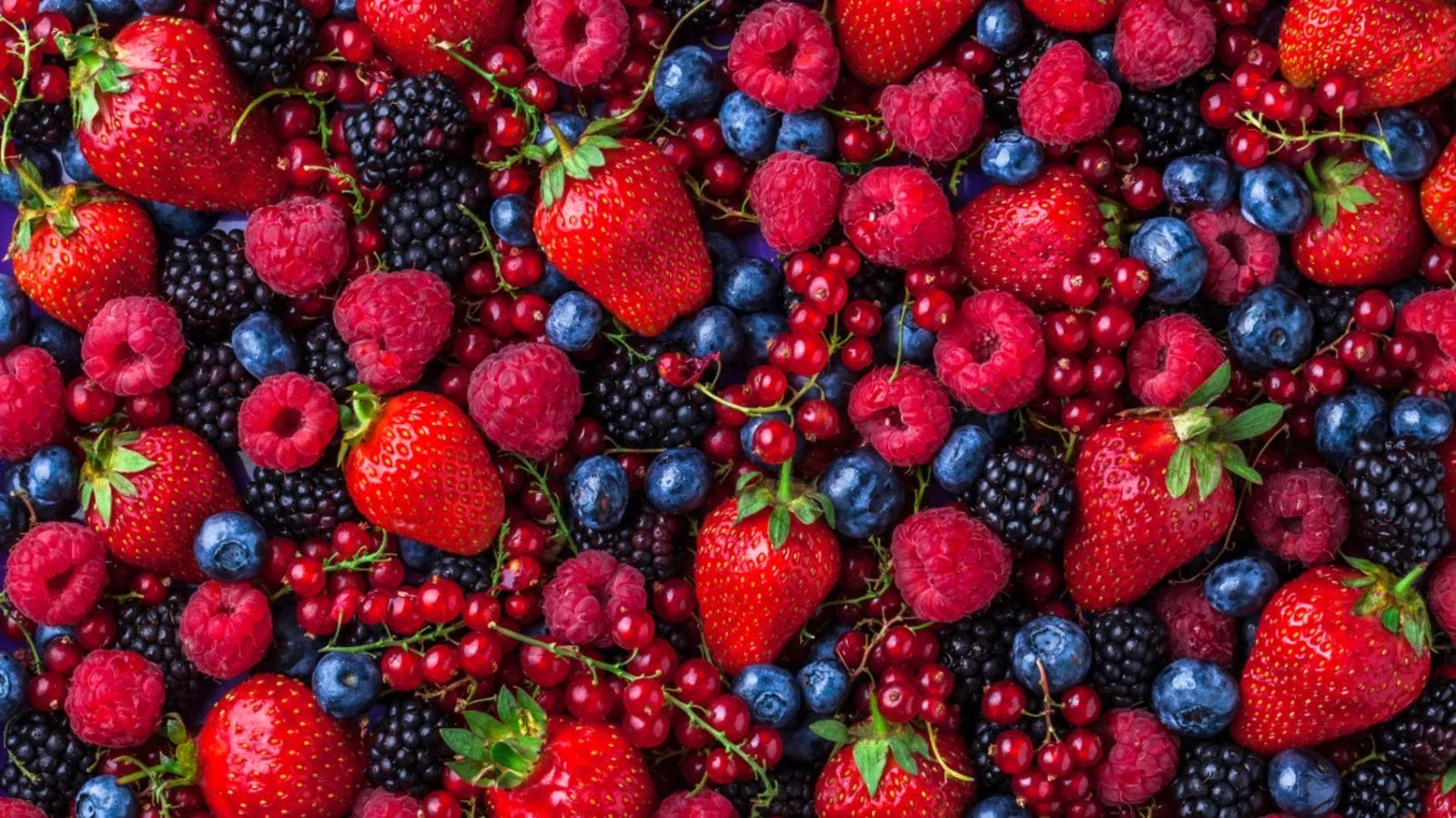 Colomba-Frutti-di-bosco-2026-Fiasconaro-Waldbeeren
