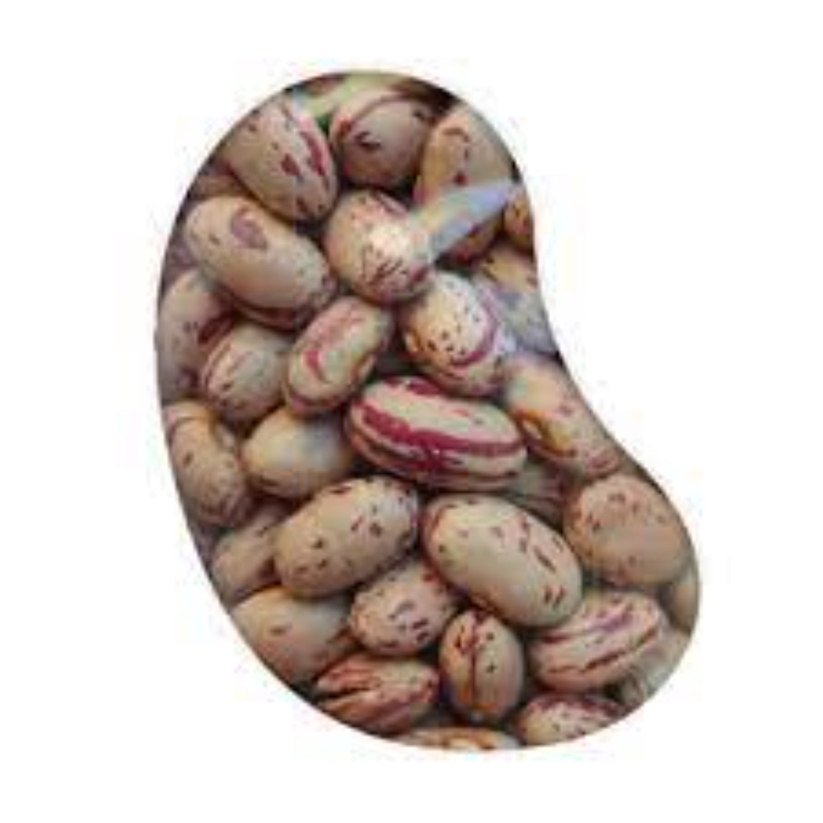 LA VALLETTA Borlotti Bohnen 400g
