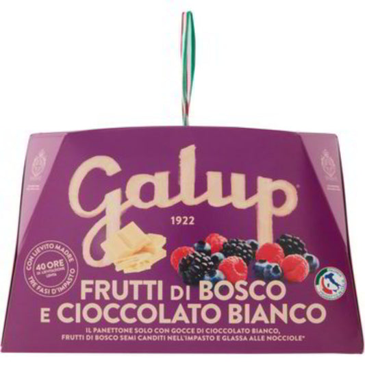 Galup-Panettone-Frutti-di-Bosco-e-Cioccolato-bianco-750g-online-hollenstein-gourmet