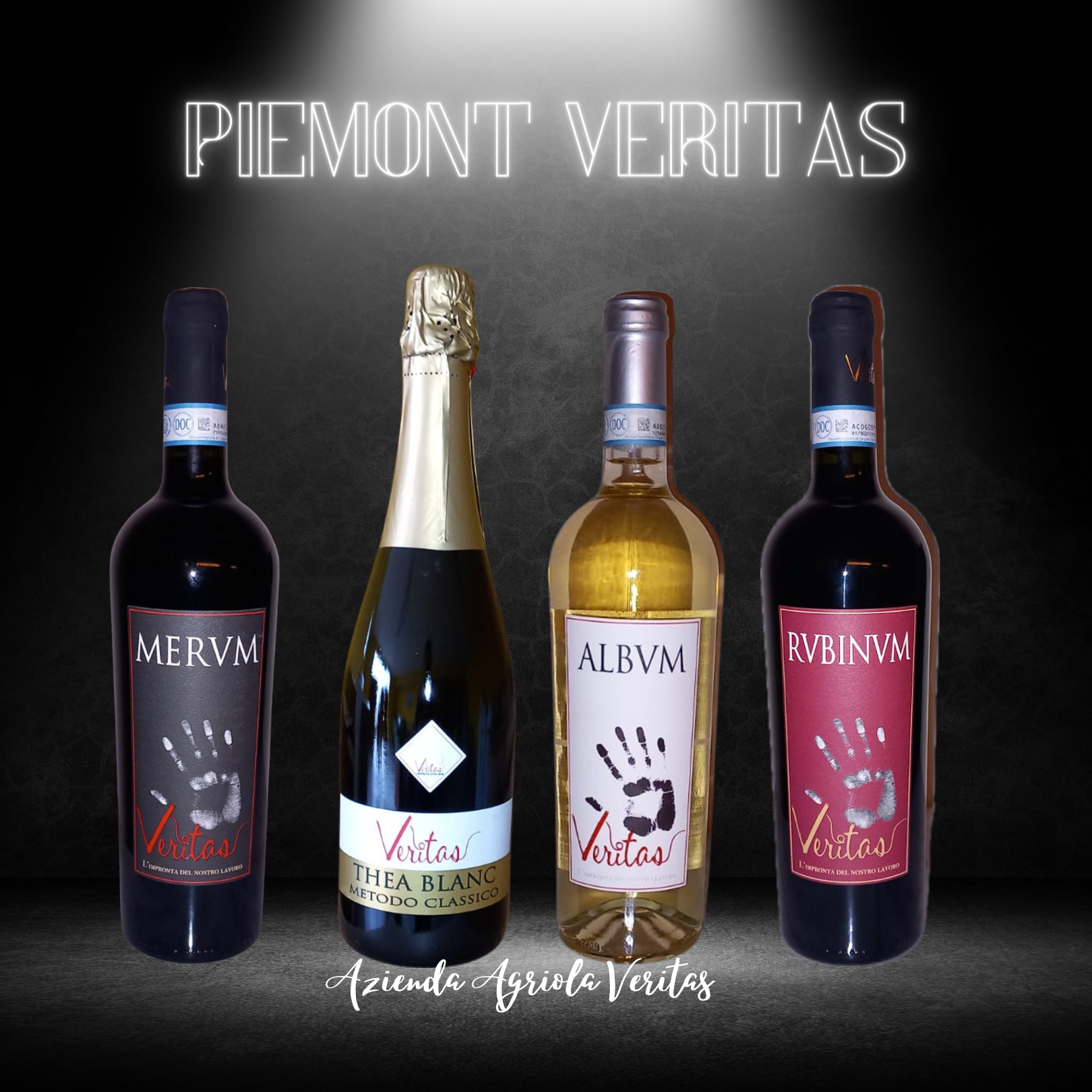 Piemont-Veritas-Wein-Degustation-Box