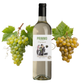 CICCHITTI Primmo Blanco – Exklusivität aus Argentinien 75cl.