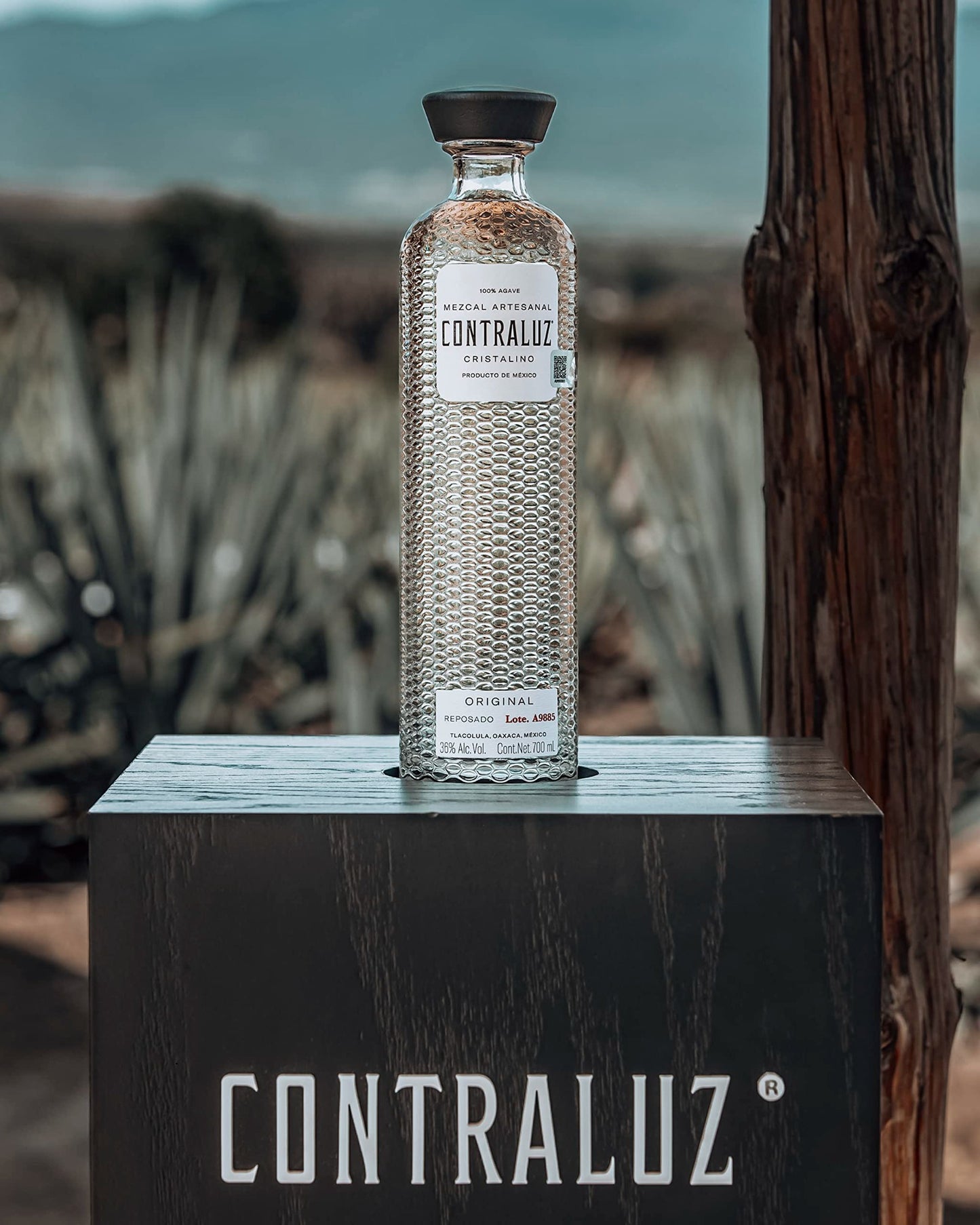 mezcal-cristalino-contraluz-flasche-agave-70cl