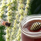 ADI APICOLTURA Bio Kastanienhonig - 250g