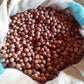 C.FASO' Geröstete Piemont-Haselnüsse IGP frisch - 250g-Frischebehälter.